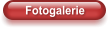 Fotogalerie